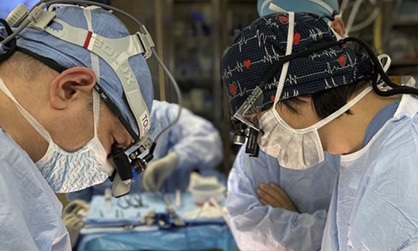 Dr. Tolis, cardiac surgeon of the Corrigan Minehan Heart Center, performs a procedure.